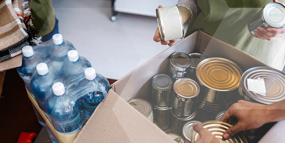 margaritas-inlägg-totalförsvar-3