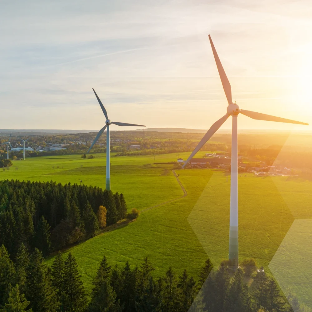 Namnlös design (27)